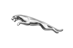 Jaguar Jaguar