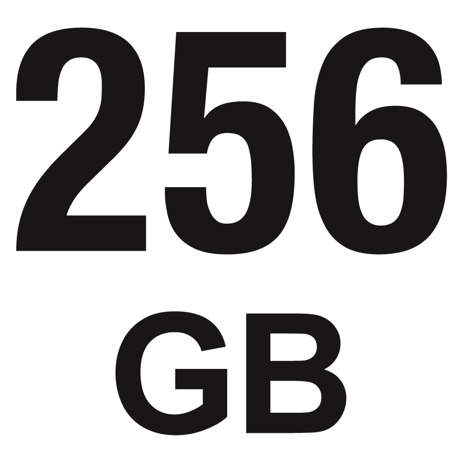 Speicherkapazität: 256 GB