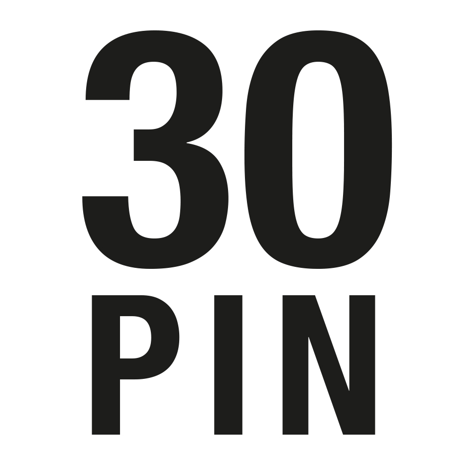 Stecker 30-Pin