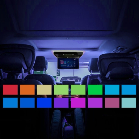 CARAVAN Motorisierter 17.3 Deckenmonitor mit HDMI-Eingang