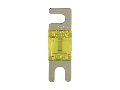 Sicherung Mini ANL 100 Ampere (silber) 4 Stück